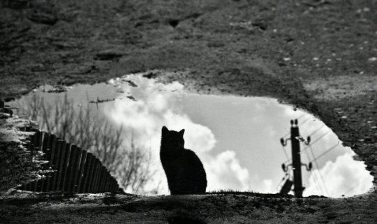 Рита Шилей: «Без фотографии жить уже не могу» (+ галерея фото)