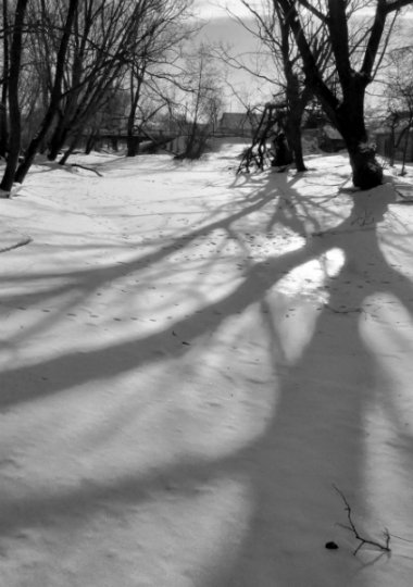 Рита Шилей: «Без фотографии жить уже не могу» (+ галерея фото)