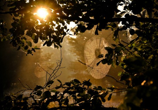 Рита Шилей: «Без фотографии жить уже не могу» (+ галерея фото)