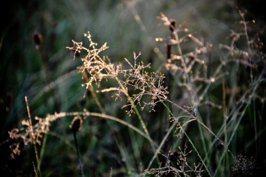 Рита Шилей: «Без фотографии жить уже не могу» (+ галерея фото)