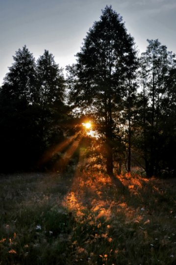 Рита Шилей: «Без фотографии жить уже не могу» (+ галерея фото)