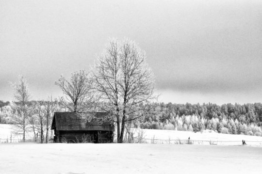 Рита Шилей: «Без фотографии жить уже не могу» (+ галерея фото)