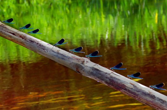 Рита Шилей: «Без фотографии жить уже не могу» (+ галерея фото)