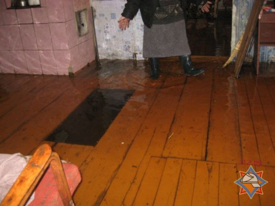 В Петрикове талая вода затопила четыре дома (фото)