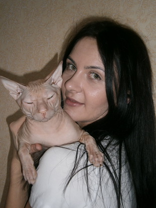 Кошки – это… кошки