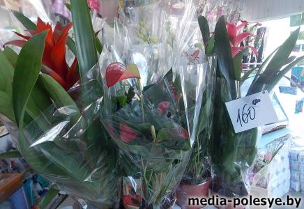 Мужчины с цветами на улицах – значит, скоро 8 Марта!