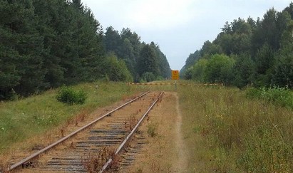 Гродненцы смогут ездить в Друскининкай на поезде