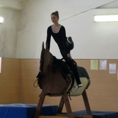 Волковысские спортсмены-вольтижеры впервые приняли участи в республиканских соревнованиях