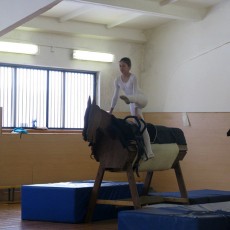 Волковысские спортсмены-вольтижеры впервые приняли участи в республиканских соревнованиях