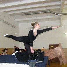 Волковысские спортсмены-вольтижеры впервые приняли участи в республиканских соревнованиях