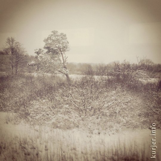 Фотоокна. Просто зима-2013. Послесловие