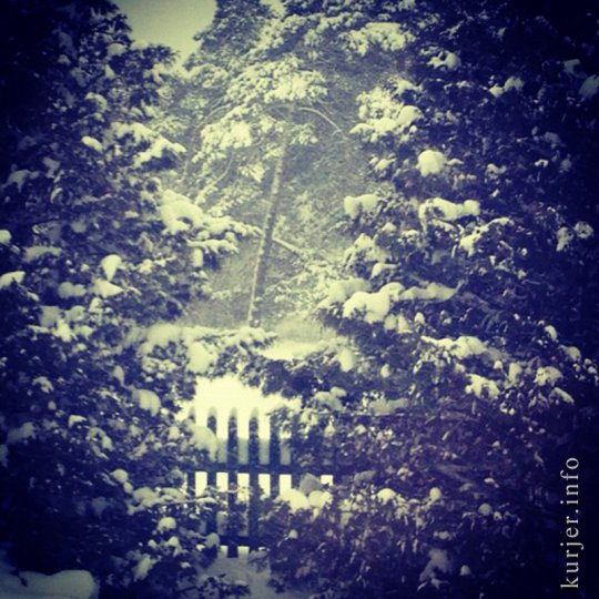 Фотоокна. Просто зима-2013. Послесловие