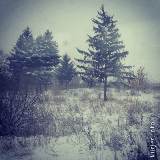 Фотоокна. Просто зима-2013. Послесловие