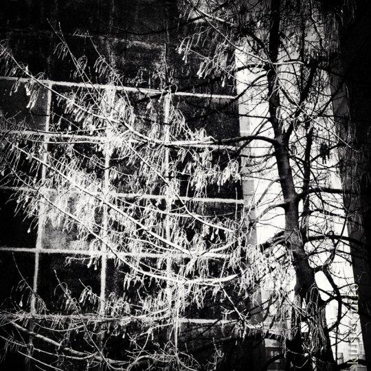 Фотоокна. Просто зима-2013. Послесловие