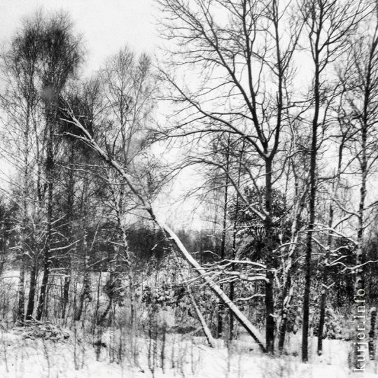 Фотоокна. Просто зима-2013. Послесловие