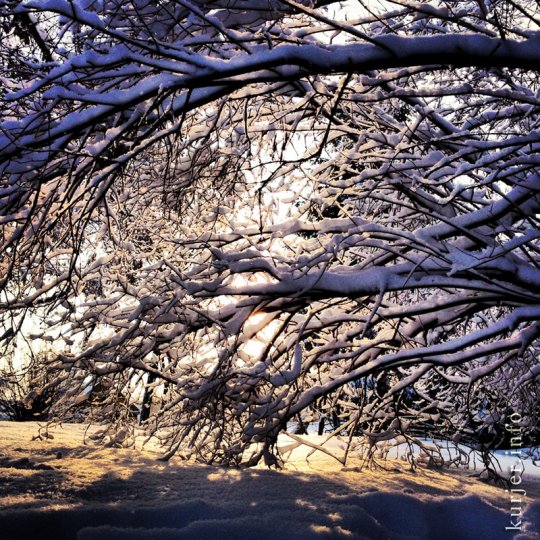 Фотоокна. Просто зима-2013. Послесловие