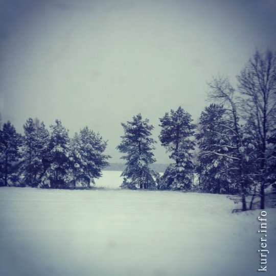 Фотоокна. Просто зима-2013. Послесловие