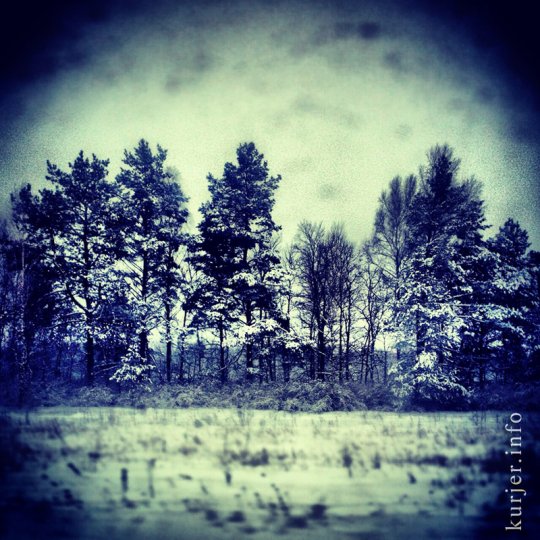 Фотоокна. Просто зима-2013. Послесловие