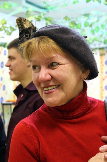 Фотофакт: в Гродно открылась выставка живых тропических бабочек