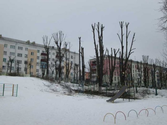 Весенняя «стрижка» началась