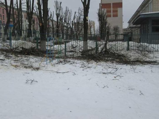 Весенняя «стрижка» началась