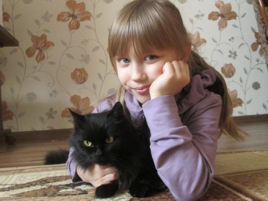 Кошки – это… кошки