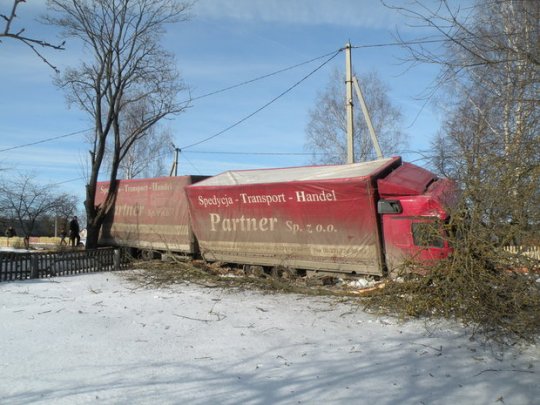 В Горецком районе фура выехала в кювет и столкнулась с деревом