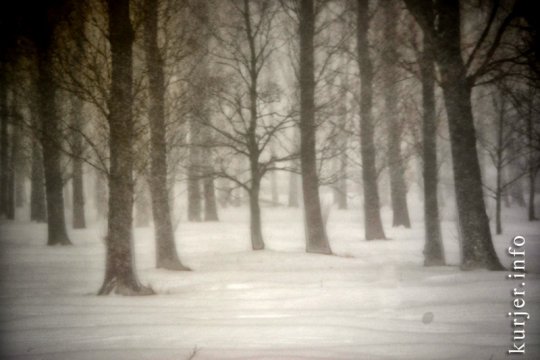 Фотоокна. Мартовская метелица. Часть 2