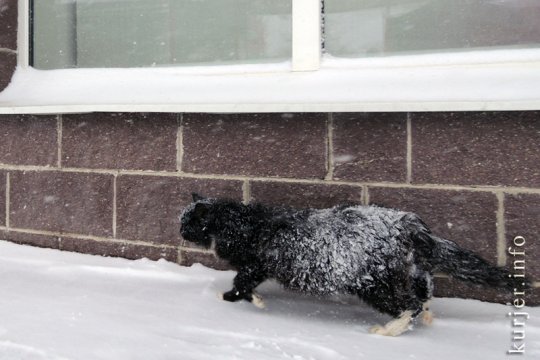 Фотоокна. Мартовская метелица. Часть 2