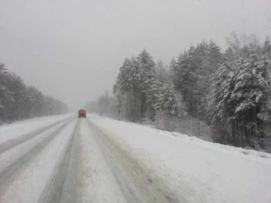 Дороги Гомельской области заметены снегом (фото)