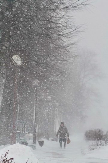 Весенний снегопад в Барановичах