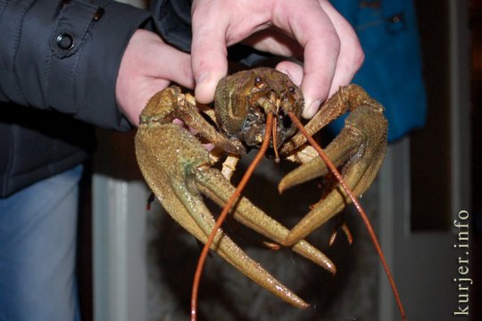 Фотохроника февраля—2013. Слуцк