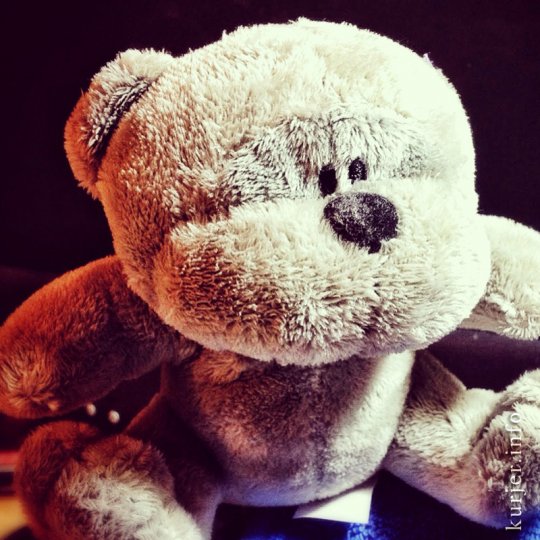 Фотохроника февраля—2013. Слуцк