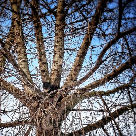 Фотохроника февраля—2013. Слуцк