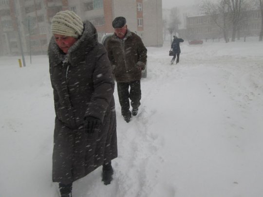 Аномалия или нет? (+фото)