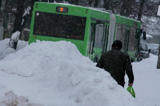 Могилевчане: день после снегопада (+ фото с вертолёта от МЧС)