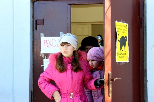 Фоторепортаж: В Гродно прошла выставка кошек