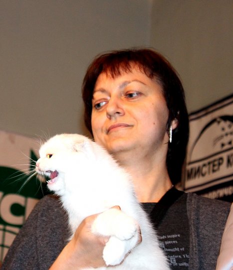 Фоторепортаж: В Гродно прошла выставка кошек