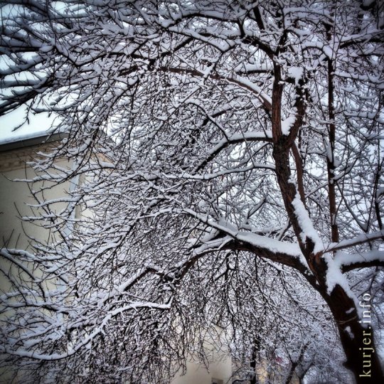 Фотоокна. 20 марта 2013. Мобильником