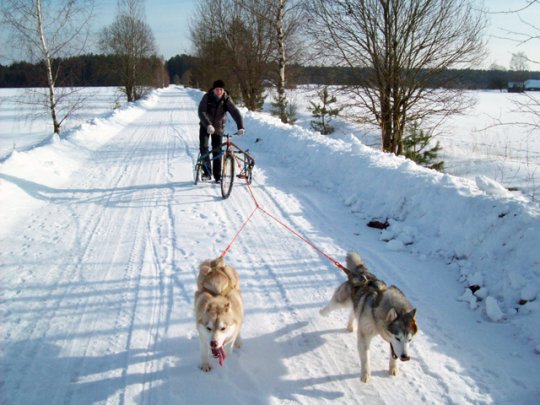 Раман Мельнічэнка адкрыў сайт і запрашае гасцей на сваю незвычайную гаспадарку