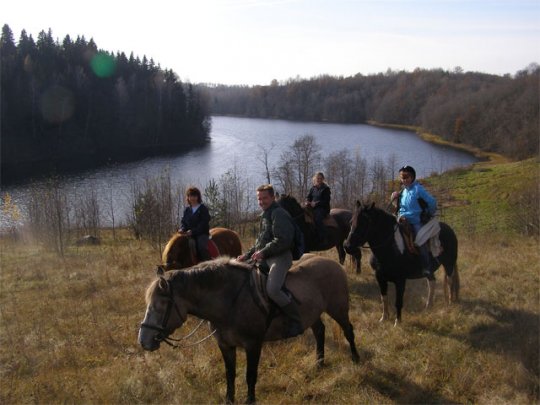 Раман Мельнічэнка адкрыў сайт і запрашае гасцей на сваю незвычайную гаспадарку