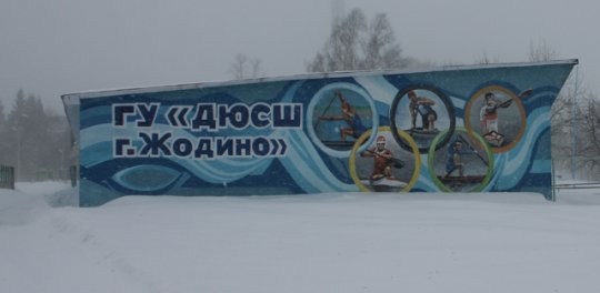 Жодинская ДЮСШ претендует на звание школы олимпийского резерва