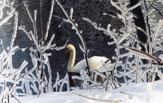 Виктор Лукша: «Спасибо, Господи, Тебе, за поворот в моей судьбе»