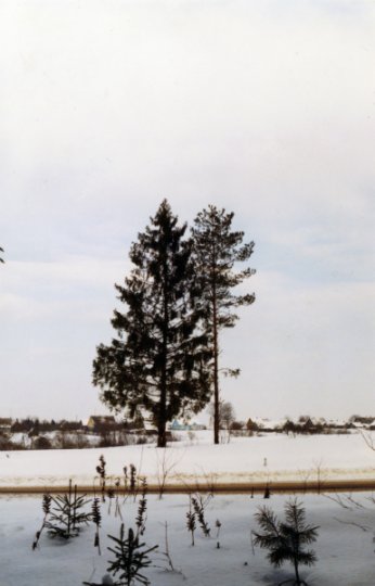 Виктор Лукша: «Спасибо, Господи, Тебе, за поворот в моей судьбе»