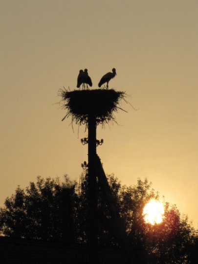 Виктор Лукша: «Спасибо, Господи, Тебе, за поворот в моей судьбе»