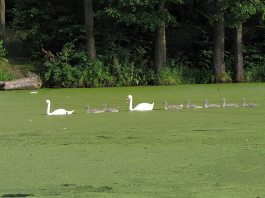 Виктор Лукша: «Спасибо, Господи, Тебе, за поворот в моей судьбе»