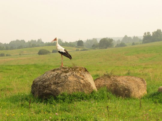 Виктор Лукша: «Спасибо, Господи, Тебе, за поворот в моей судьбе»
