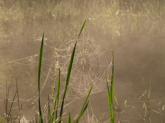 Виктор Лукша: «Спасибо, Господи, Тебе, за поворот в моей судьбе»