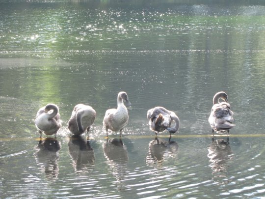 Виктор Лукша: «Спасибо, Господи, Тебе, за поворот в моей судьбе»