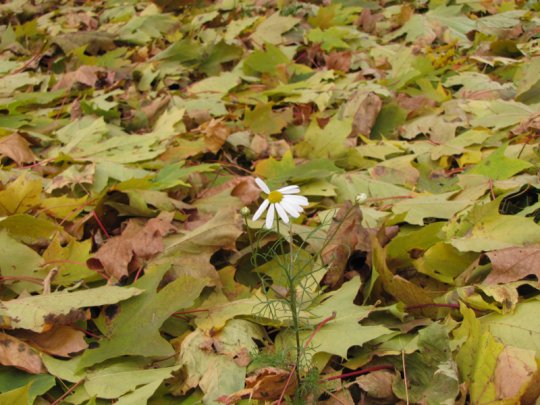 Виктор Лукша: «Спасибо, Господи, Тебе, за поворот в моей судьбе»